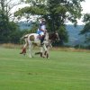 074 Week-end du cheval-Concours Attelage à La Forêt Fouesnant 9-10 juillet 2016