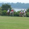 074 Week-end du cheval-Concours Attelage à La Forêt Fouesnant 9-10 juillet 2016