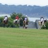 074 Week-end du cheval-Concours Attelage à La Forêt Fouesnant 9-10 juillet 2016