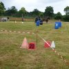 074 Week-end du cheval-Concours Attelage à La Forêt Fouesnant 9-10 juillet 2016