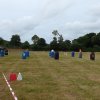 074 Week-end du cheval-Concours Attelage à La Forêt Fouesnant 9-10 juillet 2016