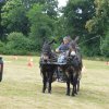 074 Week-end du cheval-Concours Attelage à La Forêt Fouesnant 9-10 juillet 2016