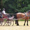 074 Week-end du cheval-Concours Attelage à La Forêt Fouesnant 9-10 juillet 2016