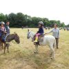 074 Week-end du cheval-Concours Attelage à La Forêt Fouesnant 9-10 juillet 2016