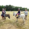074 Week-end du cheval-Concours Attelage à La Forêt Fouesnant 9-10 juillet 2016