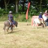 074 Week-end du cheval-Concours Attelage à La Forêt Fouesnant 9-10 juillet 2016