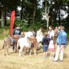 074 Week-end du cheval-Concours Attelage à La Forêt Fouesnant 9-10 juillet 2016