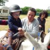 074 Week-end du cheval-Concours Attelage à La Forêt Fouesnant 9-10 juillet 2016