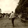 074 Week-end du cheval-Concours Attelage à La Forêt Fouesnant 9-10 juillet 2016
