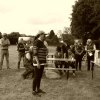074 Week-end du cheval-Concours Attelage à La Forêt Fouesnant 9-10 juillet 2016