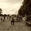 074 Week-end du cheval-Concours Attelage à La Forêt Fouesnant 9-10 juillet 2016
