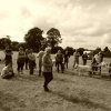 074 Week-end du cheval-Concours Attelage à La Forêt Fouesnant 9-10 juillet 2016