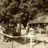 074 Week-end du cheval-Concours Attelage à La Forêt Fouesnant 9-10 juillet 2016