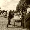 074 Week-end du cheval-Concours Attelage à La Forêt Fouesnant 9-10 juillet 2016
