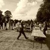 074 Week-end du cheval-Concours Attelage à La Forêt Fouesnant 9-10 juillet 2016