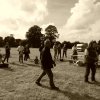 074 Week-end du cheval-Concours Attelage à La Forêt Fouesnant 9-10 juillet 2016