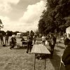 074 Week-end du cheval-Concours Attelage à La Forêt Fouesnant 9-10 juillet 2016
