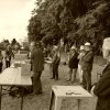 074 Week-end du cheval-Concours Attelage à La Forêt Fouesnant 9-10 juillet 2016