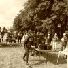 074 Week-end du cheval-Concours Attelage à La Forêt Fouesnant 9-10 juillet 2016
