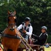 074 Week-end du cheval-Concours Attelage à La Forêt Fouesnant 9-10 juillet 2016
