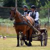 074 Week-end du cheval-Concours Attelage à La Forêt Fouesnant 9-10 juillet 2016