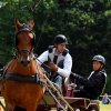074 Week-end du cheval-Concours Attelage à La Forêt Fouesnant 9-10 juillet 2016